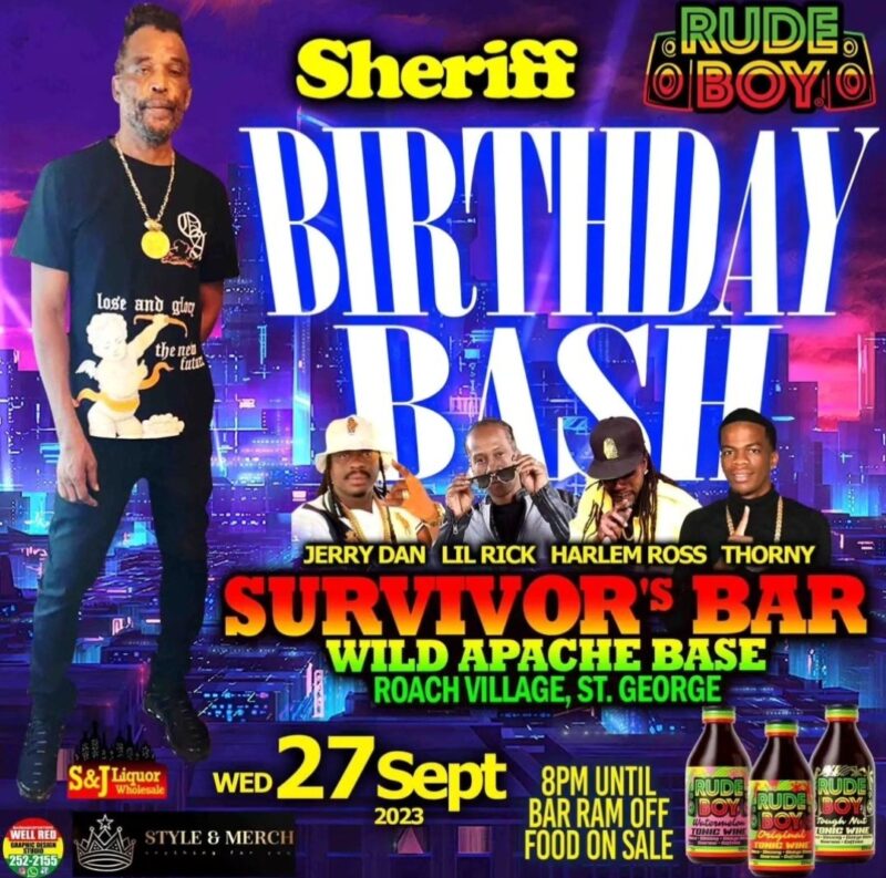 Sheriff Birthday Bash